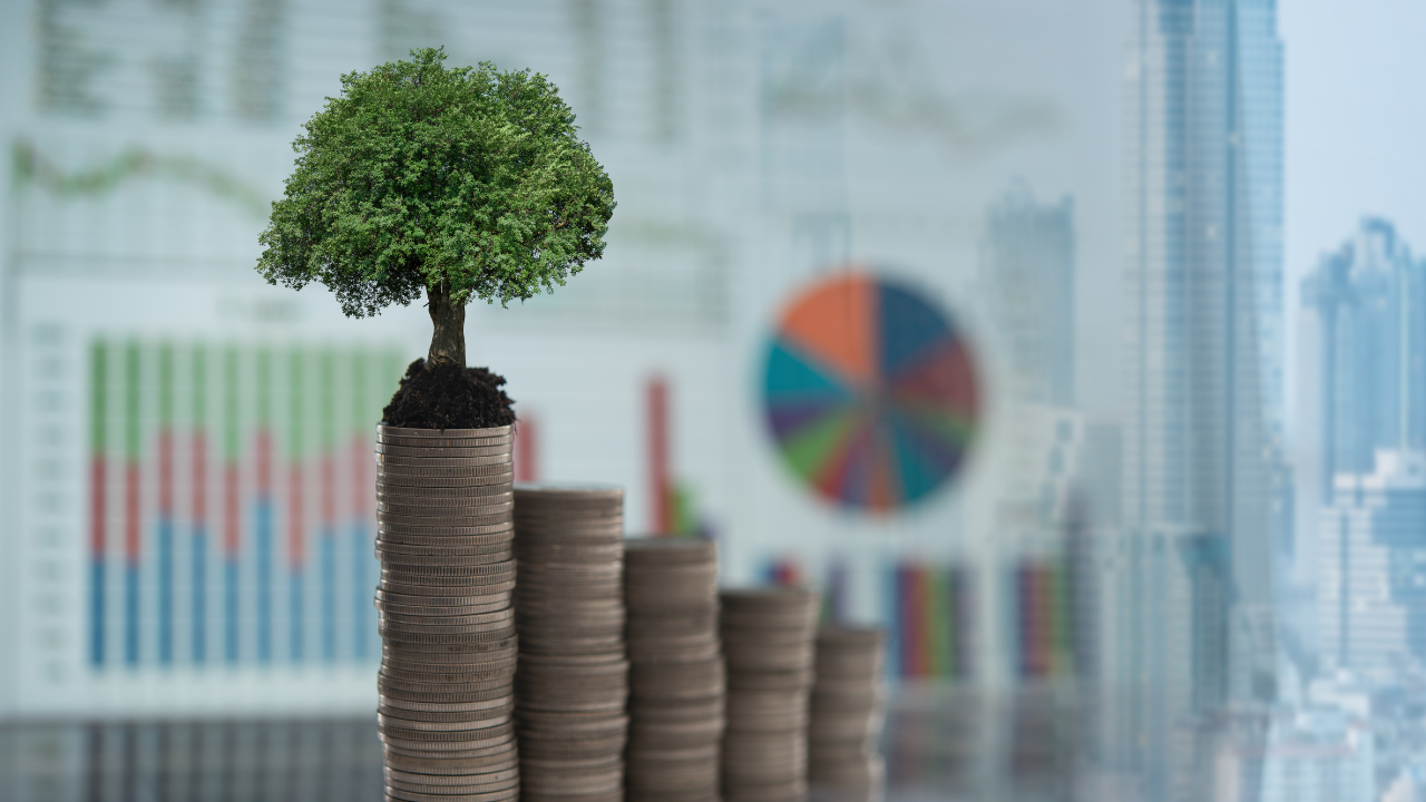 5 recommandations pour placer son argent en 2023