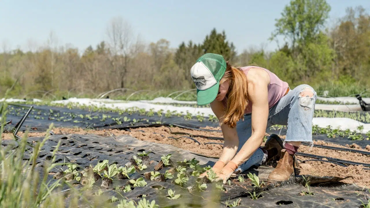 Reconversion professionnelle : 5 bonnes raisons de devenir agriculteur en Normandie