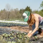 Reconversion professionnelle : 5 bonnes raisons de devenir agriculteur en Normandie