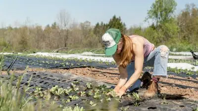 Reconversion professionnelle : 5 bonnes raisons de devenir agriculteur en Normandie