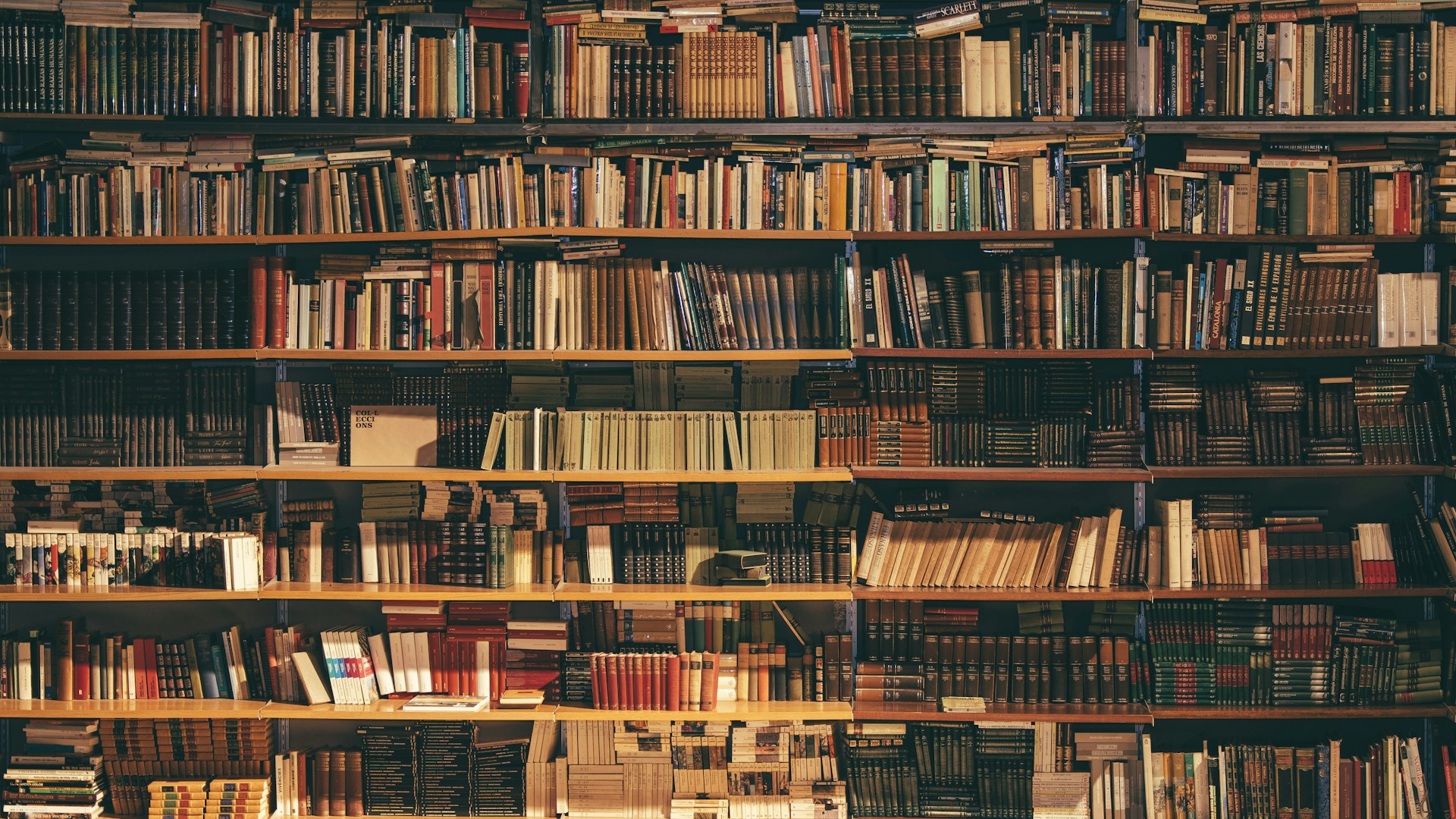 Libraire conseillant un client dans une librairie