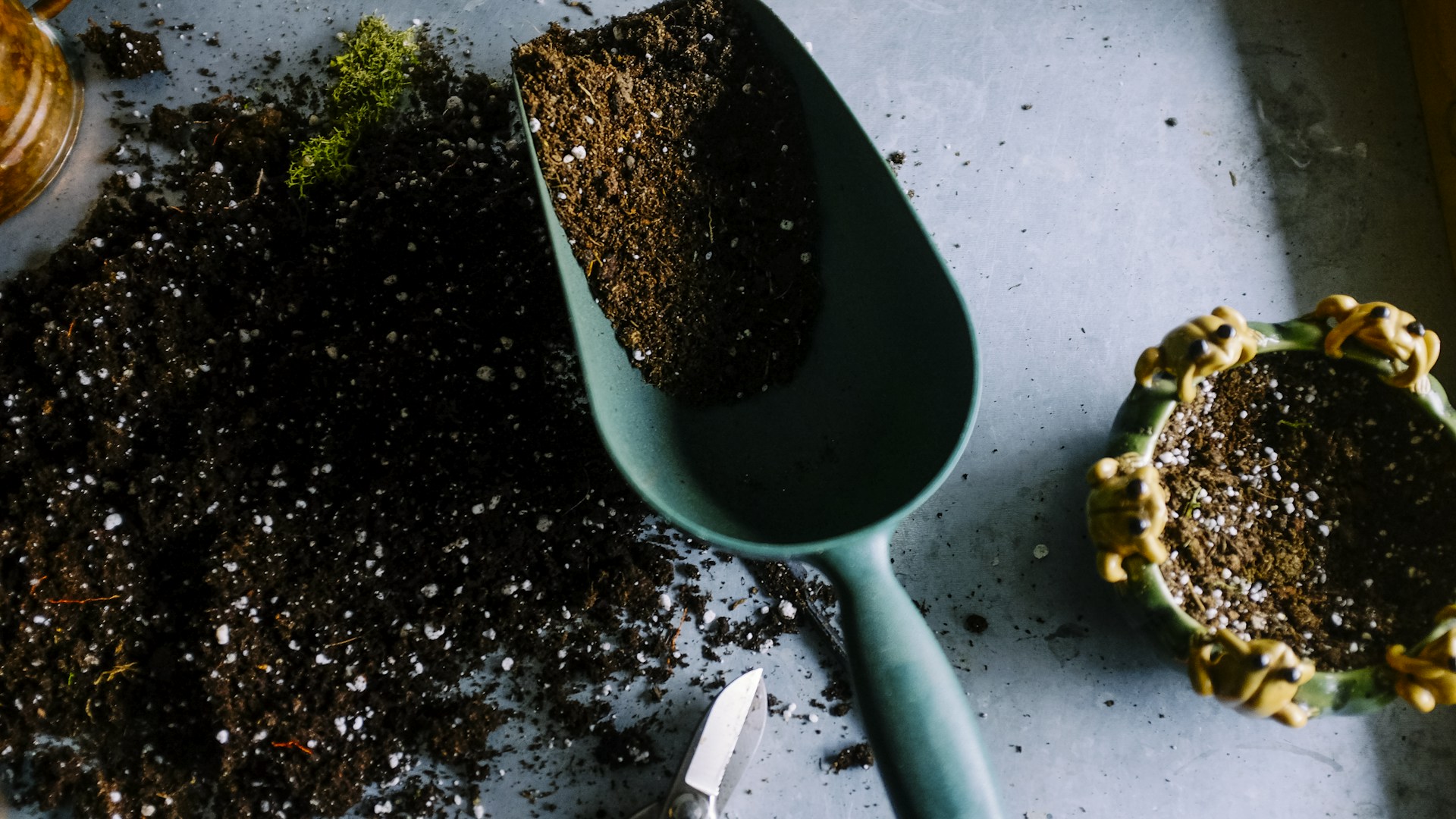 Maraîcher cultivant des légumes dans une ferme