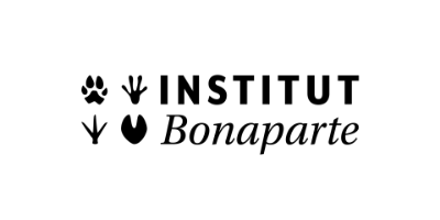 Logo Institut Bonaparte (ESAV)